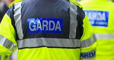 Gardaí wrestle with knife-wielding man after finding stab victim lying on floor in Dublin