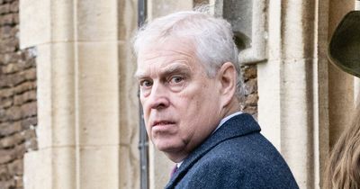 Prince Andrew wants to 'test the waters' on using his HRH title again, claims source