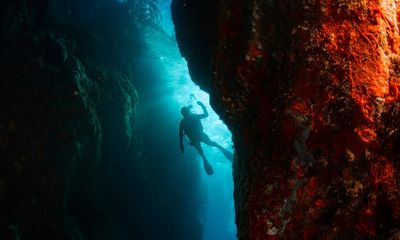 In Ascension by Martin MacInnes review – cosmic wonder