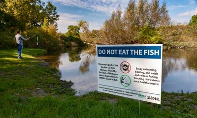 Freshwater fish more contaminated with ‘forever chemicals’ than in oceans