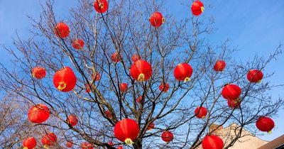 Chinese New Year greetings to use when celebrating Year of the Rabbit