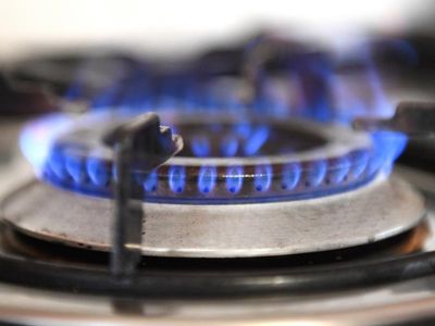 Fines for gas price cap misstep 'unlikely'