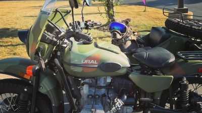 Watch Rhino The Dog Get Excited For His Sidecar Ride