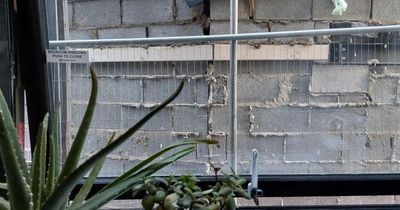 Man left gobsmacked after neighbour builds wall one metre from his window while he's on holiday