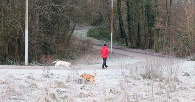 Northern Ireland weather warning for ice issued by Met Office