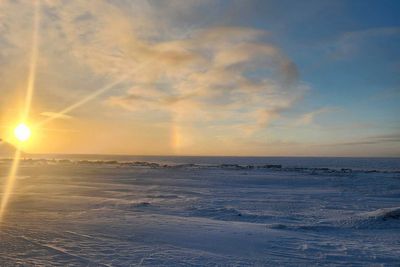 Polar bear emerged unseen from squall to kill mother, son