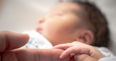 New figures detail the most popular day to be born with Boxing Day the rarest