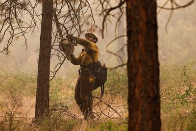 US allocates $930m for forest thinning in fire-stricken west