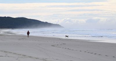 Man drowns trying to save daughter, 11, who drifted out to sea in beach tragedy