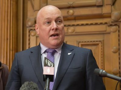 NZ National leader Luxon eyes October poll