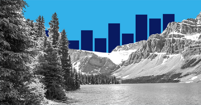How US forests affect the environment and help stabilize the climate
