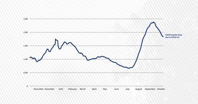 How the Delta variant drove up hospitalizations in 6 charts