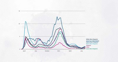 Six charts to understand COVID-19 deaths this summer