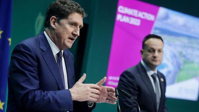 There will be a smaller national herd – Ryan