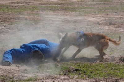 Ukrainians wrap up landmine clearance exercises in Cambodia