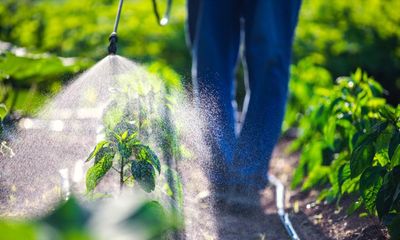 People exposed to weedkiller chemical have cancer biomarkers in urine – study