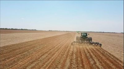 Deforestation in Brazil: Soya farming eats up savanna region