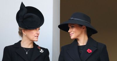 Meghan Markle 'made it clear' she didn't want Sophie Wessex as mentor, claims book