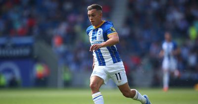 Why Arsenal weren't worried about Leandro Trossard's attitude following Brighton falling out