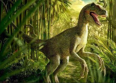 Researchers Uncover 92 Fossil Nests Belonging To Some Of India's Largest Dinosaurs