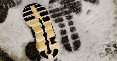 Car thief jumped from moving stolen Ford Fiesta after police tracked him down in snow