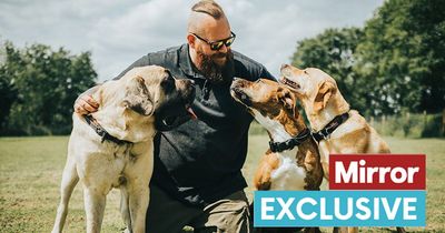 Dog trainer shares best and worst breeds for families with young kids