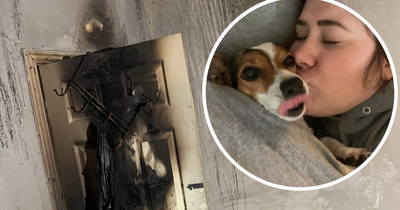 Woman saved from Bensham flat fire when dog barked in 'unusual' way