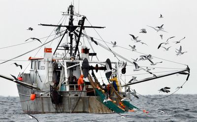 Feds try to improve fishing data with new monitoring rules