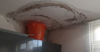 Sovereign Housing tenants in Fishponds ''living with buckets and bowls' after recurring leaks