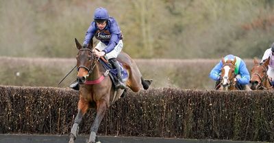 Horse Power: Fontaine Collonges can win the Peter Marsh Chase at Haydock
