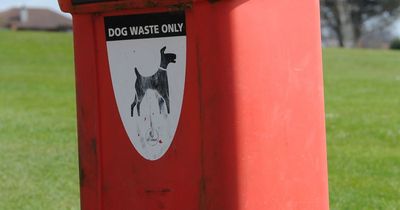 Dog fouling reduction plans rejected by North Tyneside Labour Group over £160k cost