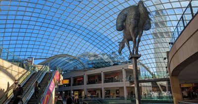 Panicked shoppers left 'shaken up' as 'youth sets off firework' in Trinity Leeds