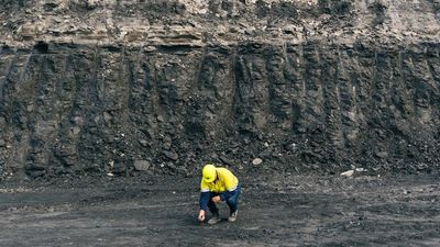 Acclaimed Indian journalist slams ICICI Bank's 'silent arrogance' over failed WA coal mine