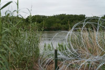 US border guard shoots, injures migrant in Texas