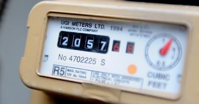 British Gas to make £250 energy credit payment to thousands of customers