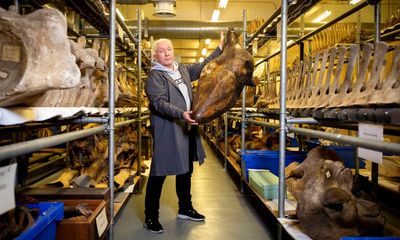 A rare glimpse inside Britain’s secret vault of whale skeletons