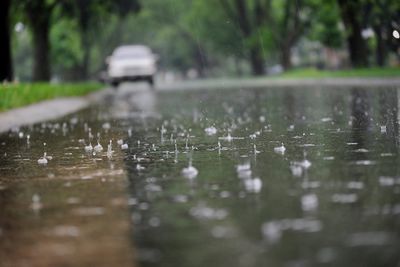 North India Likely To Witness Rainfall Next Week, Predicts IMD