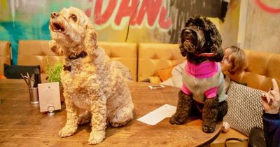 Cockapoo café which featured on Dragons Den is coming to a Leeds bar