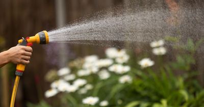 'My new neighbour keeps using my tap - but I can't afford it'