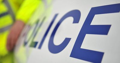 Man with imitation gun 'made off from police'