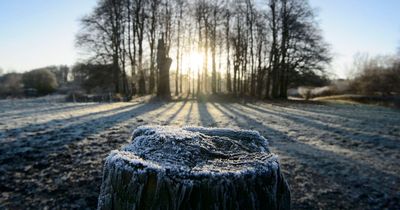 Glasgow temperatures set to plummet before the beginning of February