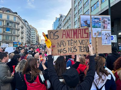 Thousands protest in Lisbon for animal rights amid constitutional dispute