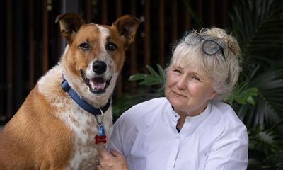 ‘To sit with him, to feel the softness of his fur’: what makes me happy now