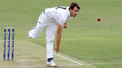 West Australian cricket's lightning-fast pace bowler Lance Morris is the sport's reluctant Wild Thing