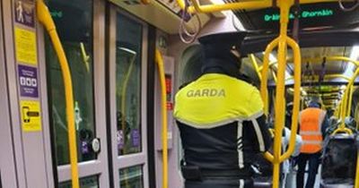 Gardai travel on Luas as concerns mount over anti-social behaviour