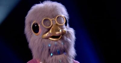 Masked Singer's Pigeon's identity 'solved' by fans after telling accent clue