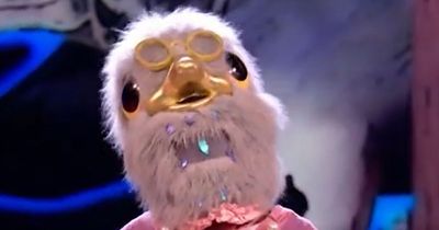 The Masked Singer viewers 'unmask' Pigeon's identity as they work out accent twist