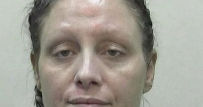 'Overwhelmed' mum told kids to get out of family home before setting it on fire