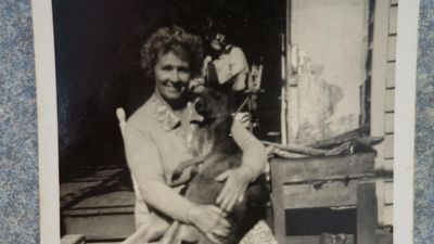 How 'Lady' Williams founded a great Australian apple