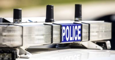 Woman allegedly assaulted, robbed by youths in Belconnen
